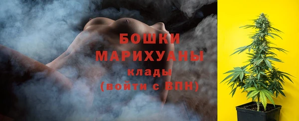 ГАЛЛЮЦИНОГЕННЫЕ ГРИБЫ Верея