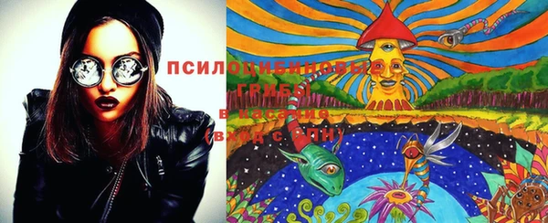 ГАЛЛЮЦИНОГЕННЫЕ ГРИБЫ Верея