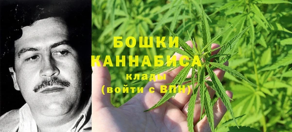 ГАЛЛЮЦИНОГЕННЫЕ ГРИБЫ Верея