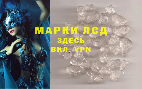ГАЛЛЮЦИНОГЕННЫЕ ГРИБЫ Верея